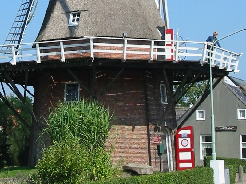 Koren- en pelmolen Germania