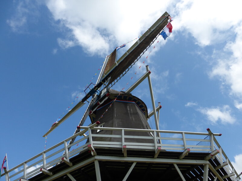 Molenaar in Ganzedijk