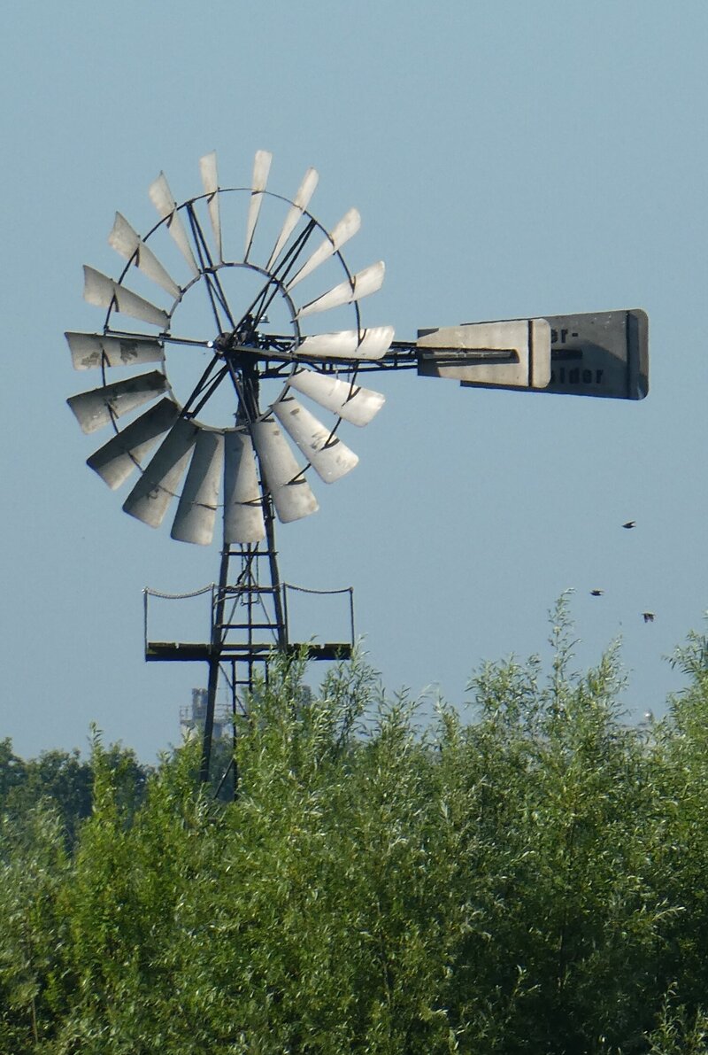 De molen van de Smitspolder