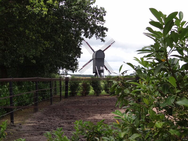 Koren- en pelmolen Standerdmolen Ter Haar