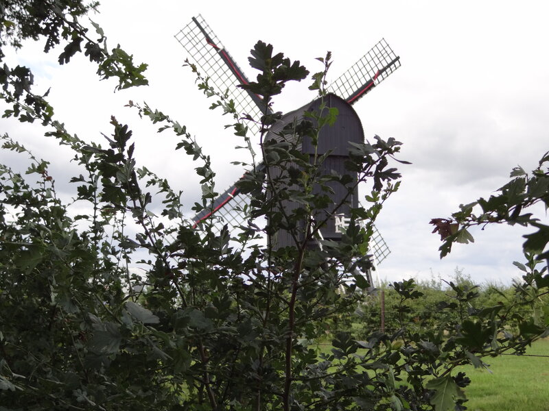 Koren- en pelmolen Standerdmolen Ter Haar